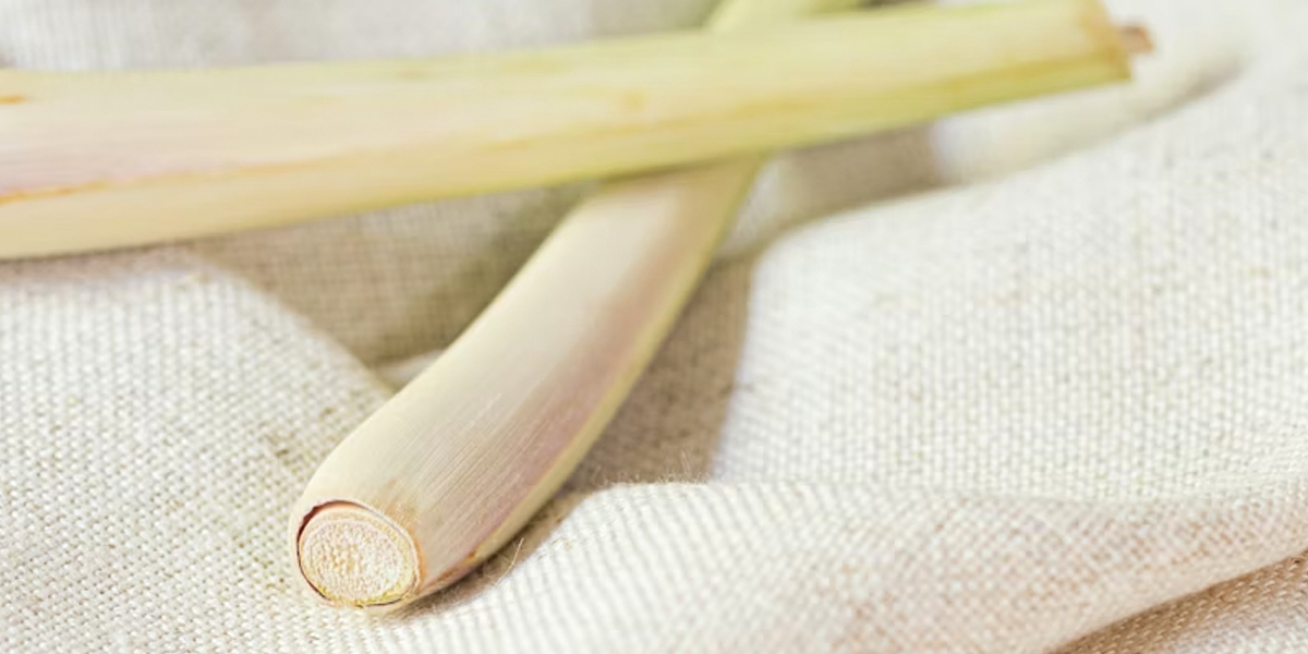 Lemongrass on a linen cloth